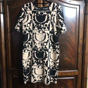 Ann Taylor Dress